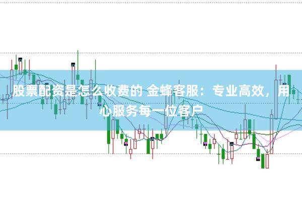 股票配资是怎么收费的 金蜂客服：专业高效，用心服务每一位客户