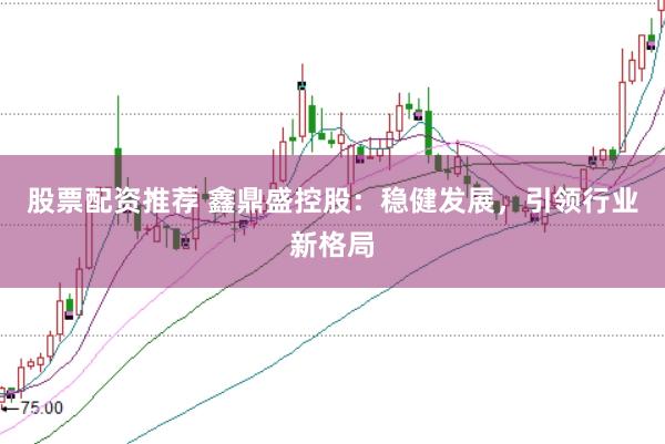 股票配资推荐 鑫鼎盛控股：稳健发展，引领行业新格局