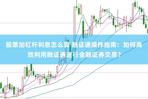 股票加杠杆利息怎么算 融证通操作指南：如何高效利用融证通进行金融证券交易？