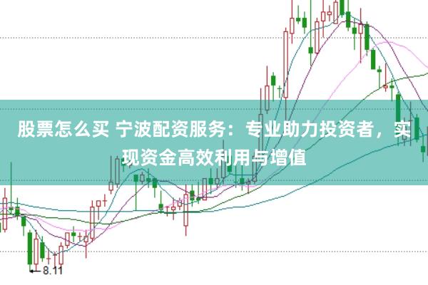 股票怎么买 宁波配资服务：专业助力投资者，实现资金高效利用与增值