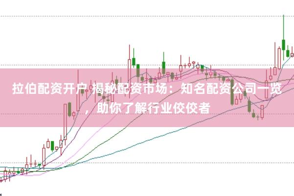 拉伯配资开户 揭秘配资市场：知名配资公司一览，助你了解行业佼佼者