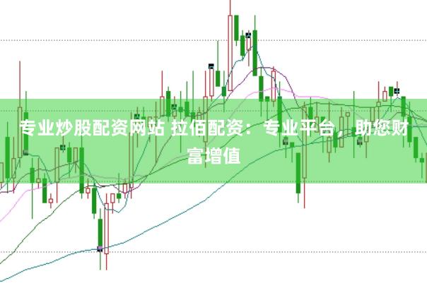 专业炒股配资网站 拉佰配资：专业平台，助您财富增值