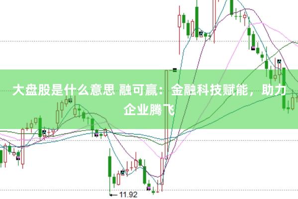大盘股是什么意思 融可赢：金融科技赋能，助力企业腾飞