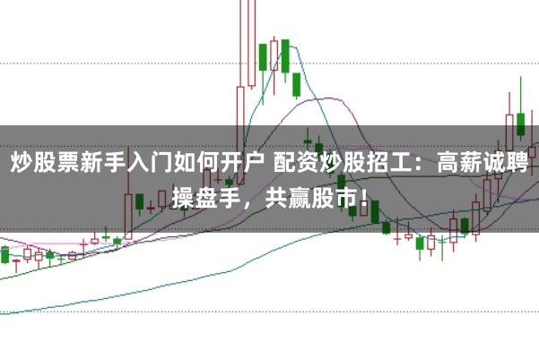 炒股票新手入门如何开户 配资炒股招工：高薪诚聘操盘手，共赢股市！
