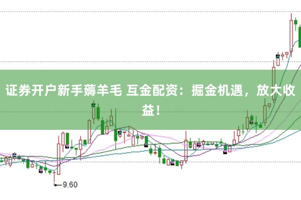 证券开户新手薅羊毛 互金配资：掘金机遇，放大收益！