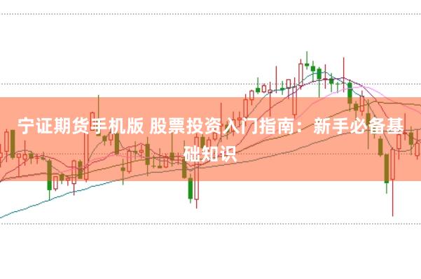 宁证期货手机版 股票投资入门指南：新手必备基础知识