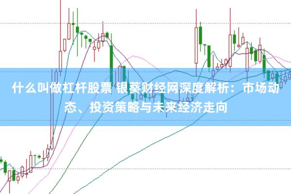 什么叫做杠杆股票 银葵财经网深度解析：市场动态、投资策略与未来经济走向