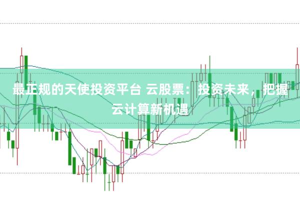 最正规的天使投资平台 云股票：投资未来，把握云计算新机遇