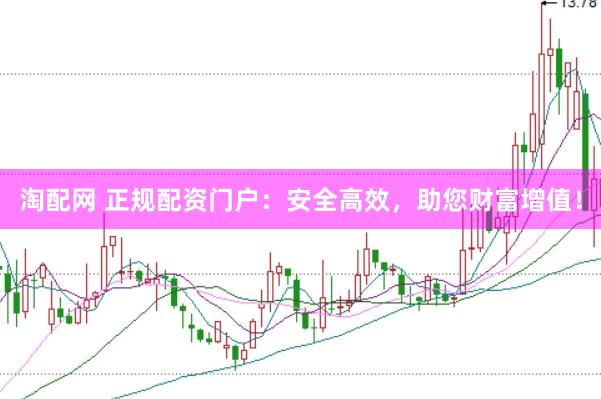 淘配网 正规配资门户：安全高效，助您财富增值！