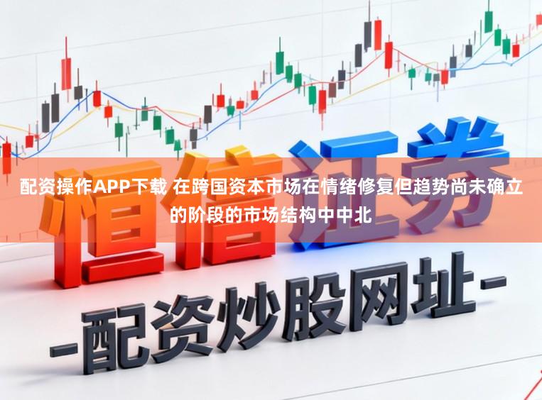 配资操作APP下载 在跨国资本市场在情绪修复但趋势尚未确立的阶段的市场结构中中北