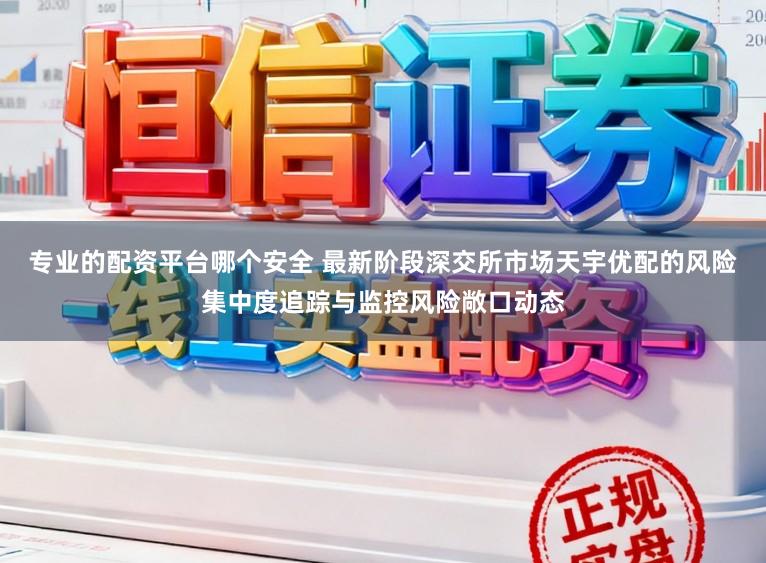 专业的配资平台哪个安全 最新阶段深交所市场天宇优配的风险集中度追踪与监控风险敞口动态