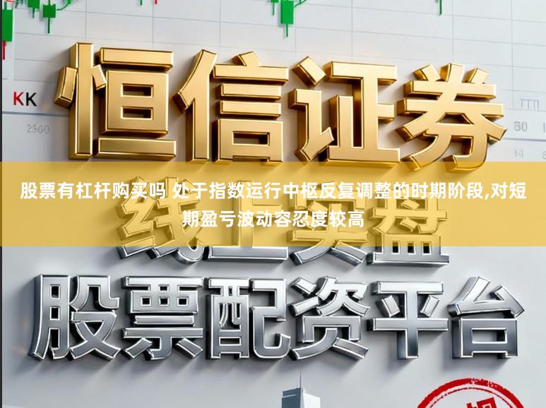 股票有杠杆购买吗 处于指数运行中枢反复调整的时期阶段,对短期盈亏波动容忍度较高