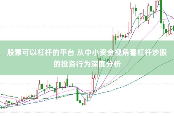 股票可以杠杆的平台 从中小资金视角看杠杆炒股的投资行为深度分析